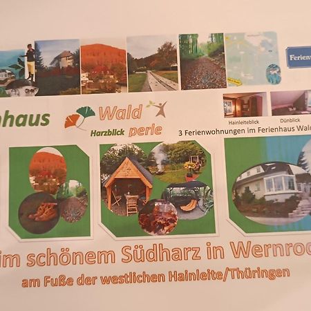 Ferienhaus Waldperle Harzblick Wernrode Eksteriør billede