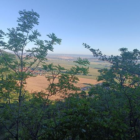 Ferienhaus Waldperle Harzblick Wernrode Eksteriør billede