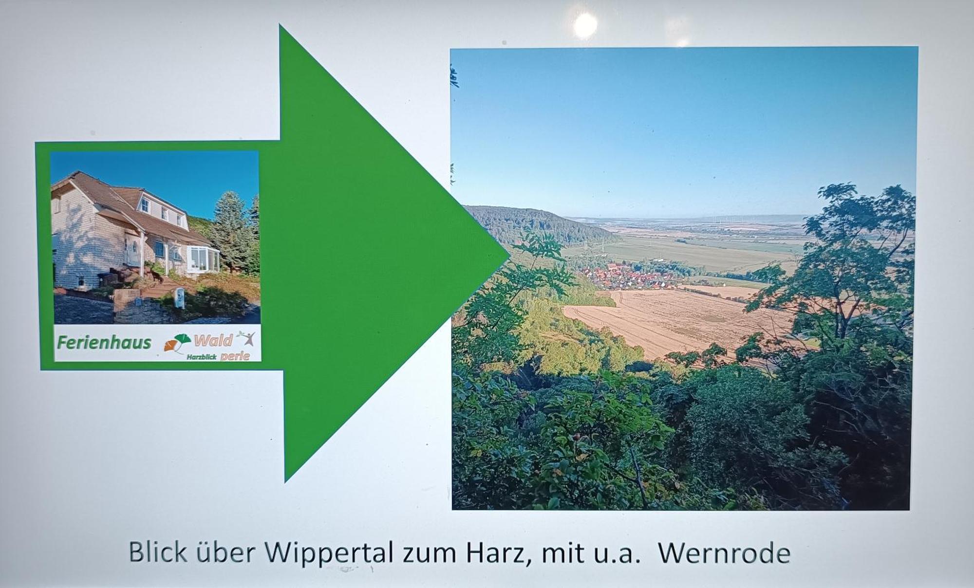 Ferienhaus Waldperle Harzblick Wernrode Eksteriør billede