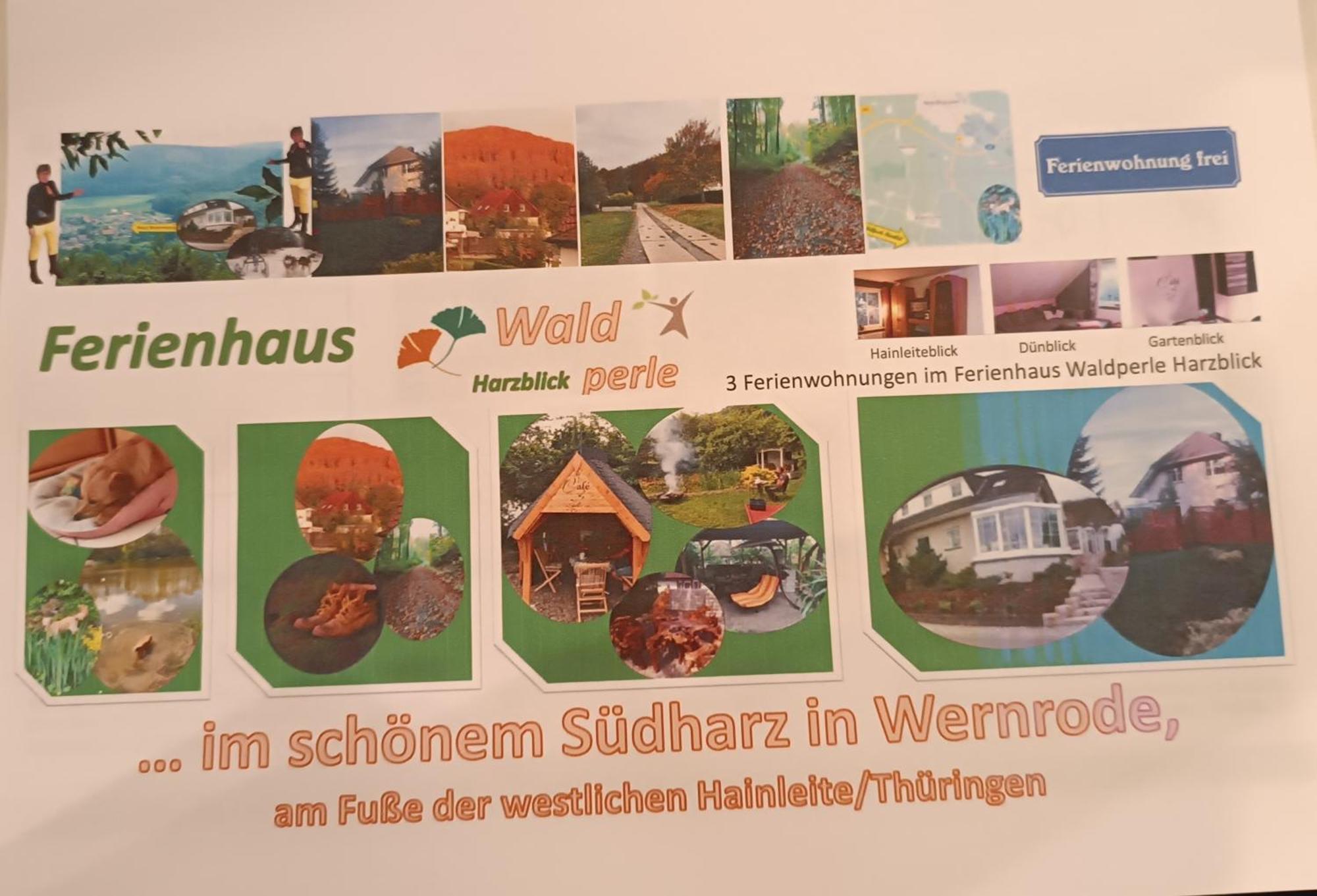 Ferienhaus Waldperle Harzblick Wernrode Eksteriør billede