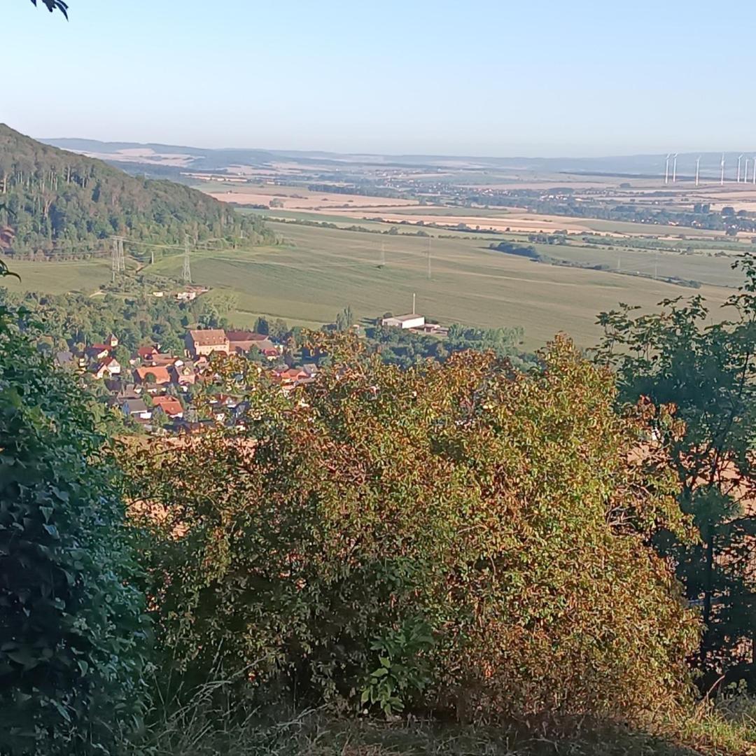 Ferienhaus Waldperle Harzblick Wernrode Eksteriør billede